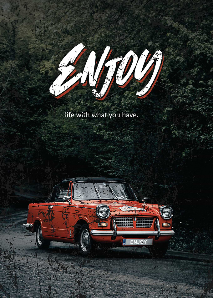 enjoy your life