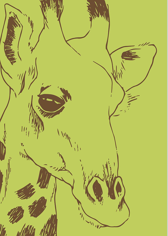 Animal Zoo
