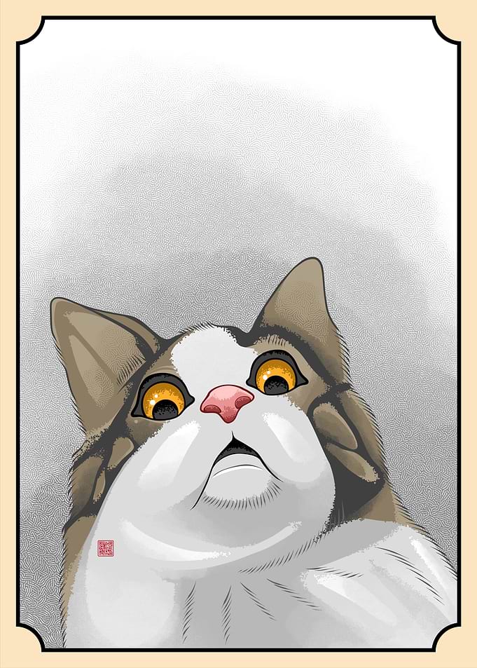 Scarry Cat Meme