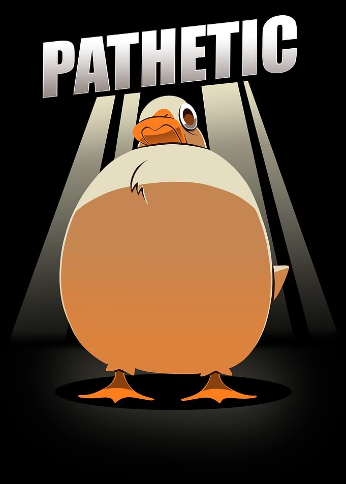 Judgmental Duck