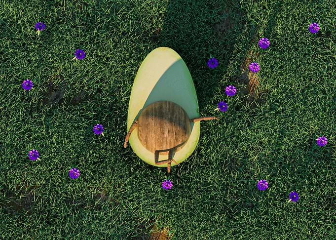Avocado resting on grass