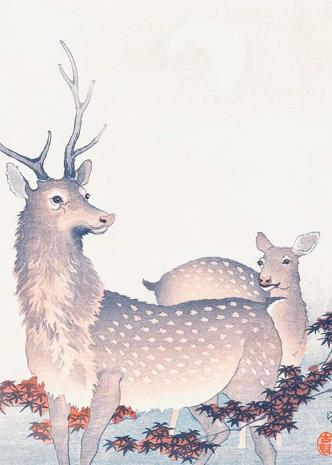 Couple of Deers