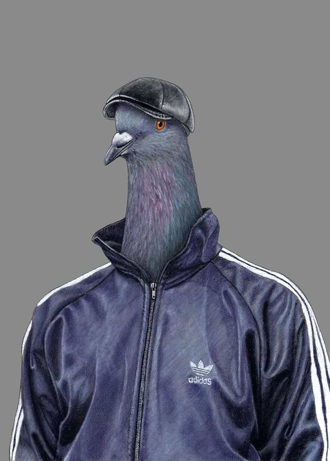 Pigeon Semyon