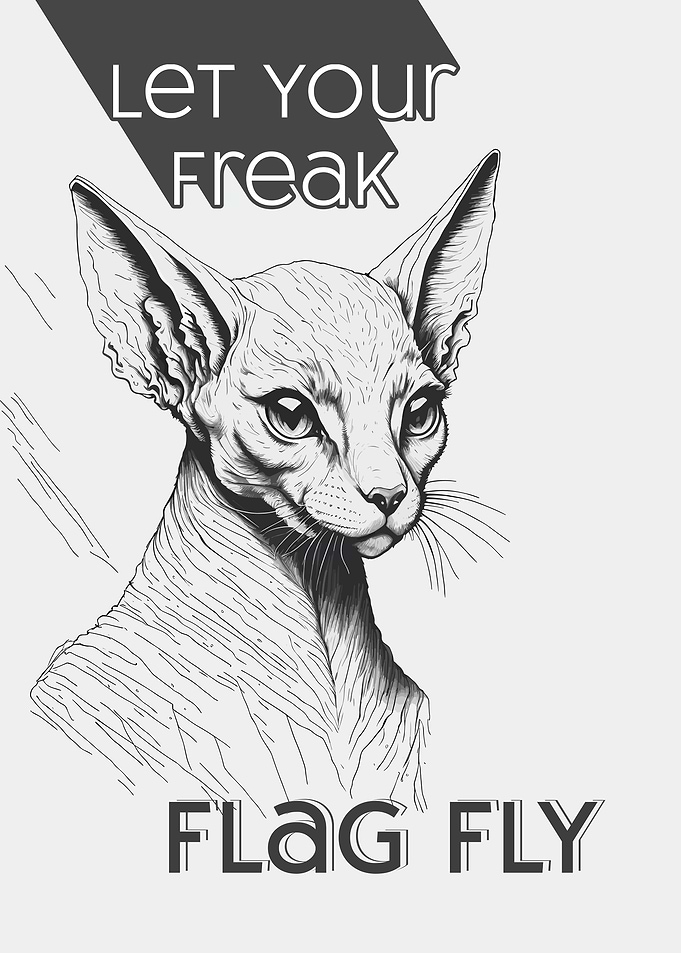 Freaky Sphynx Cat Sketch