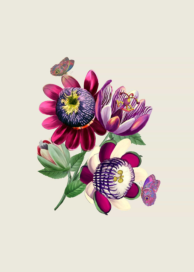 Passiflora