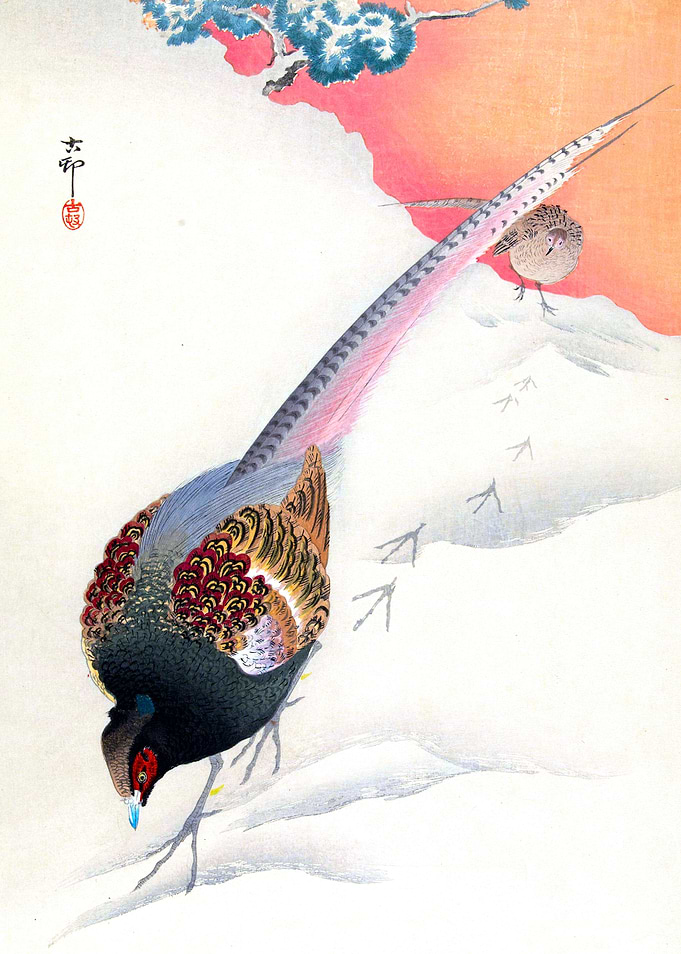 Pheasants in the Snow