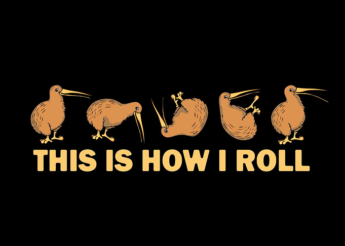 Kiwi Bird Australia Kiwi
