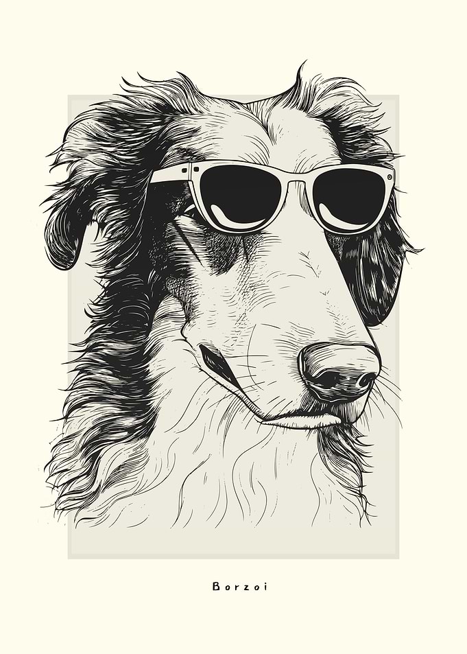 Borzoi Illustration