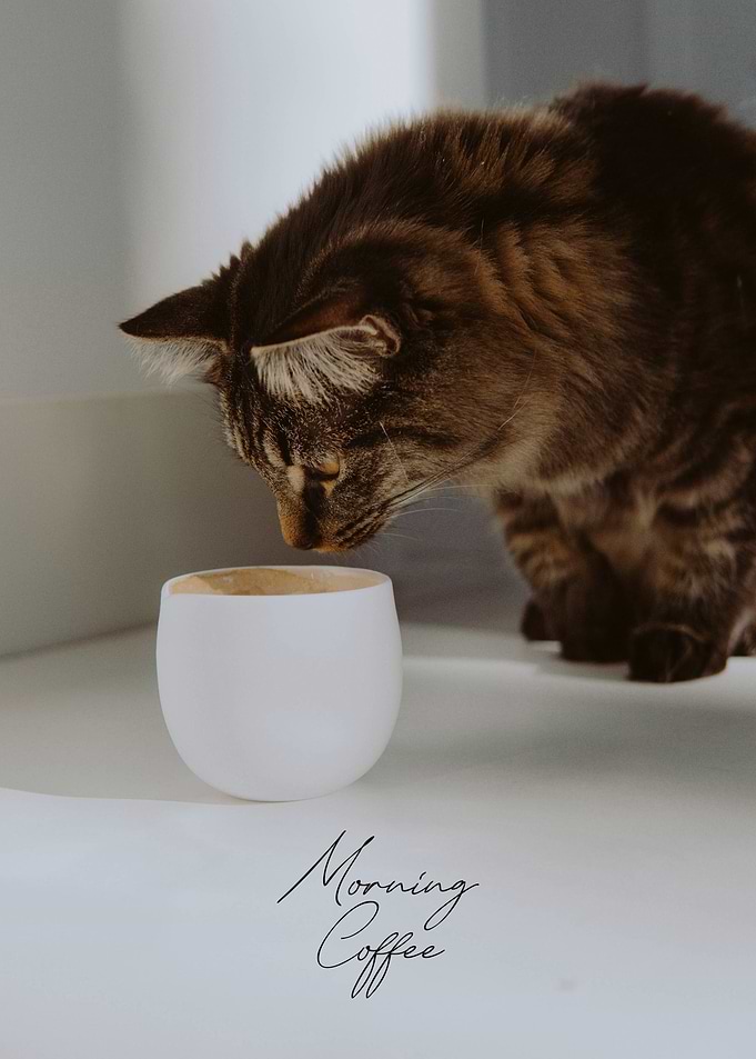 Morning Coffee
