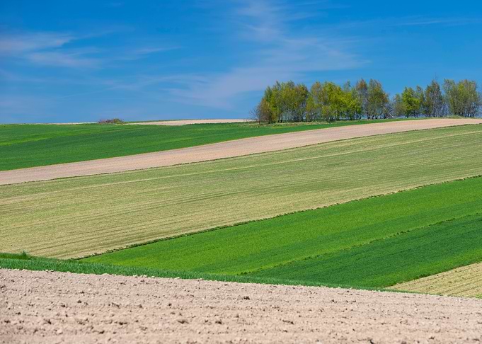 Spring fields in village