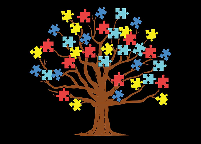 Autism Autistic Puzzle