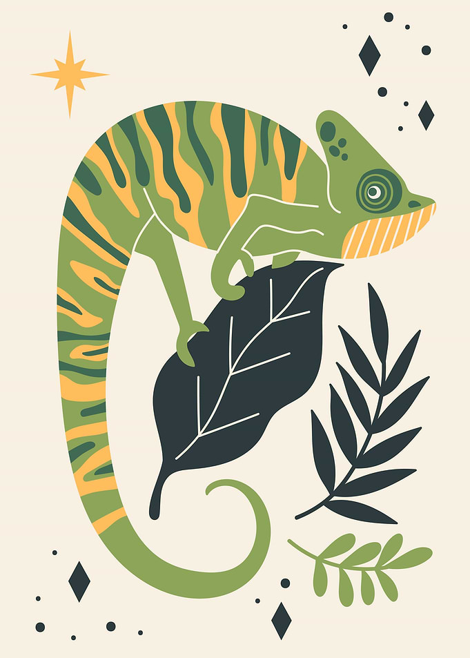 wild animal iguanas