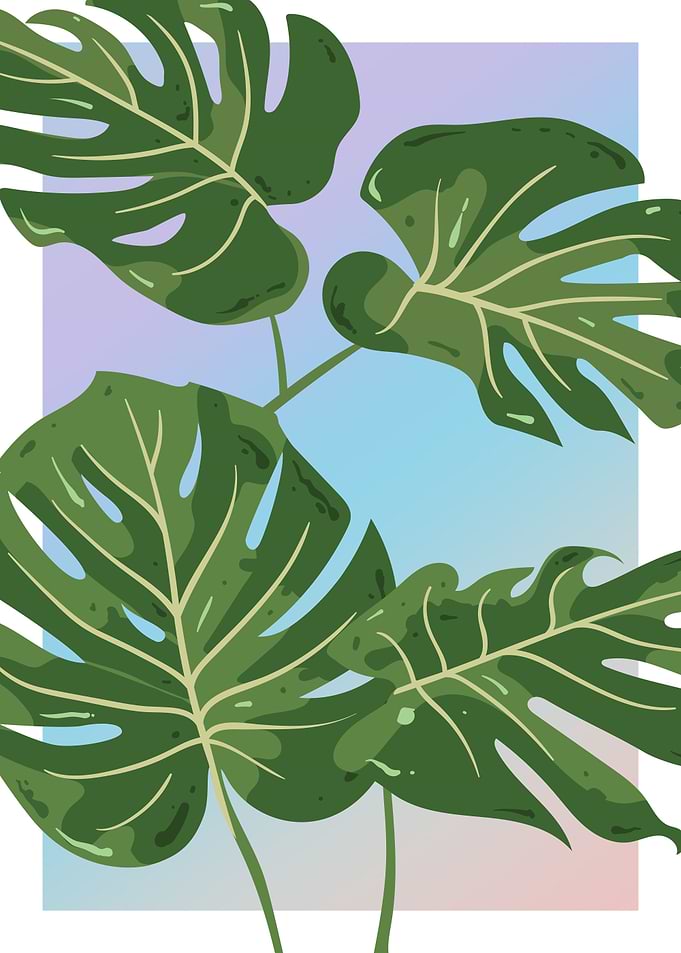 Monstera in Olive Poster