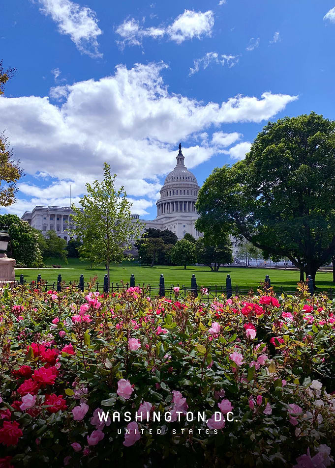 Washington DC
