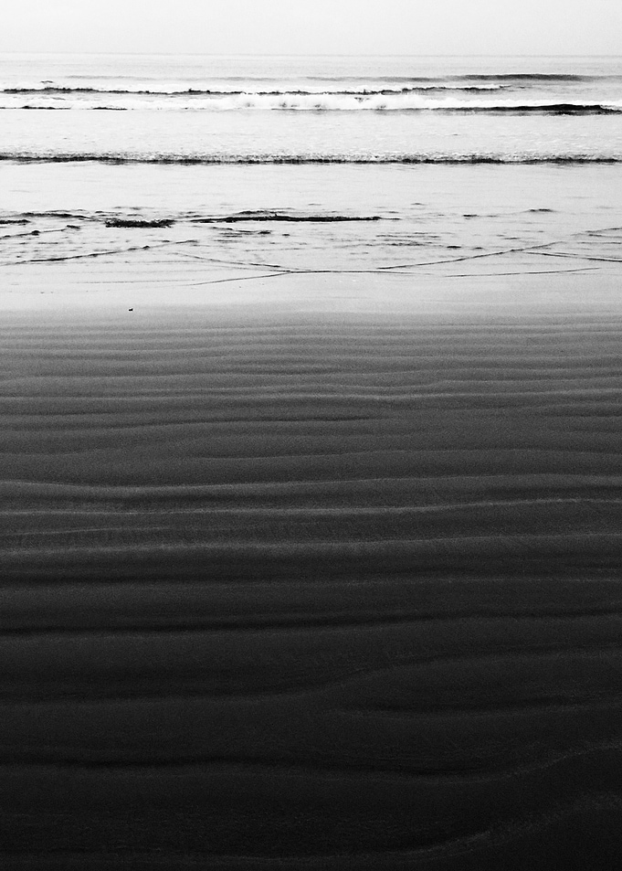 Black and White XII