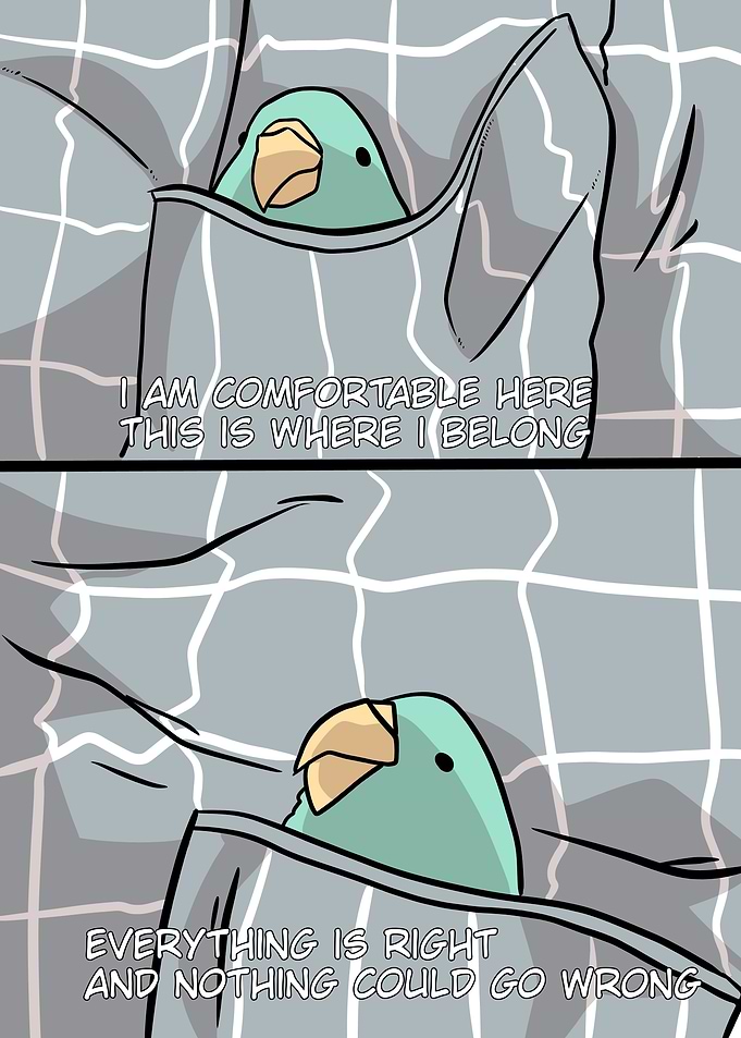 wholesome bird