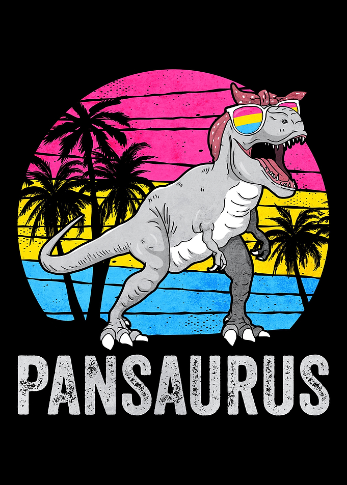 Pansexual Pride Pan Flag