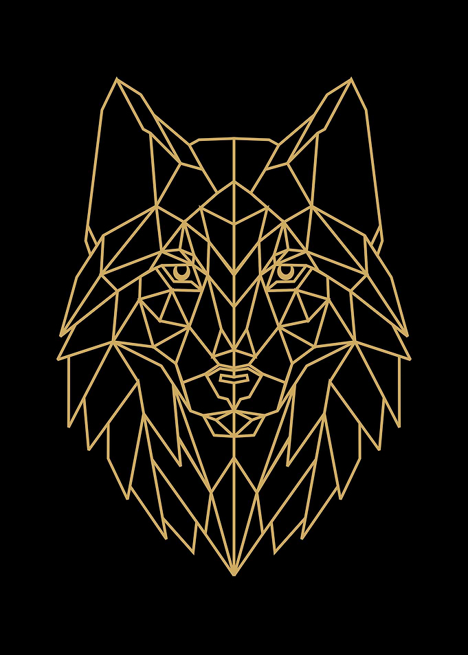 Animal Geometric Art