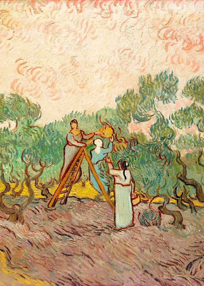 Women Picking Olives 1889