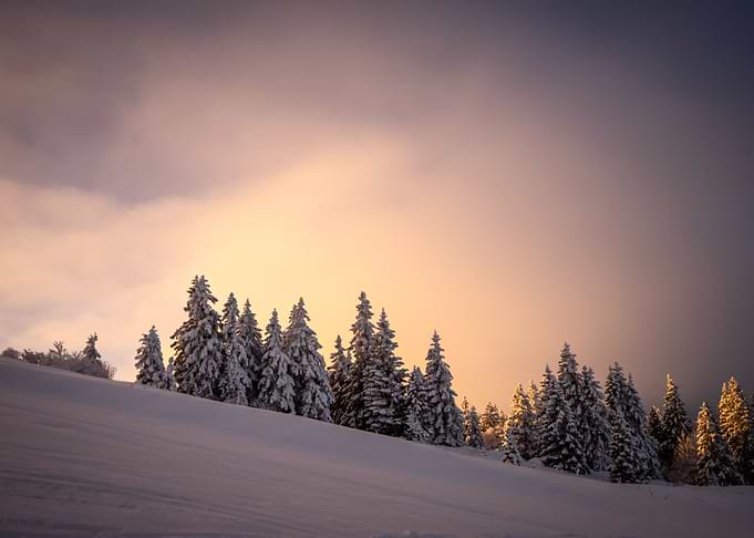 sunrise on the snow