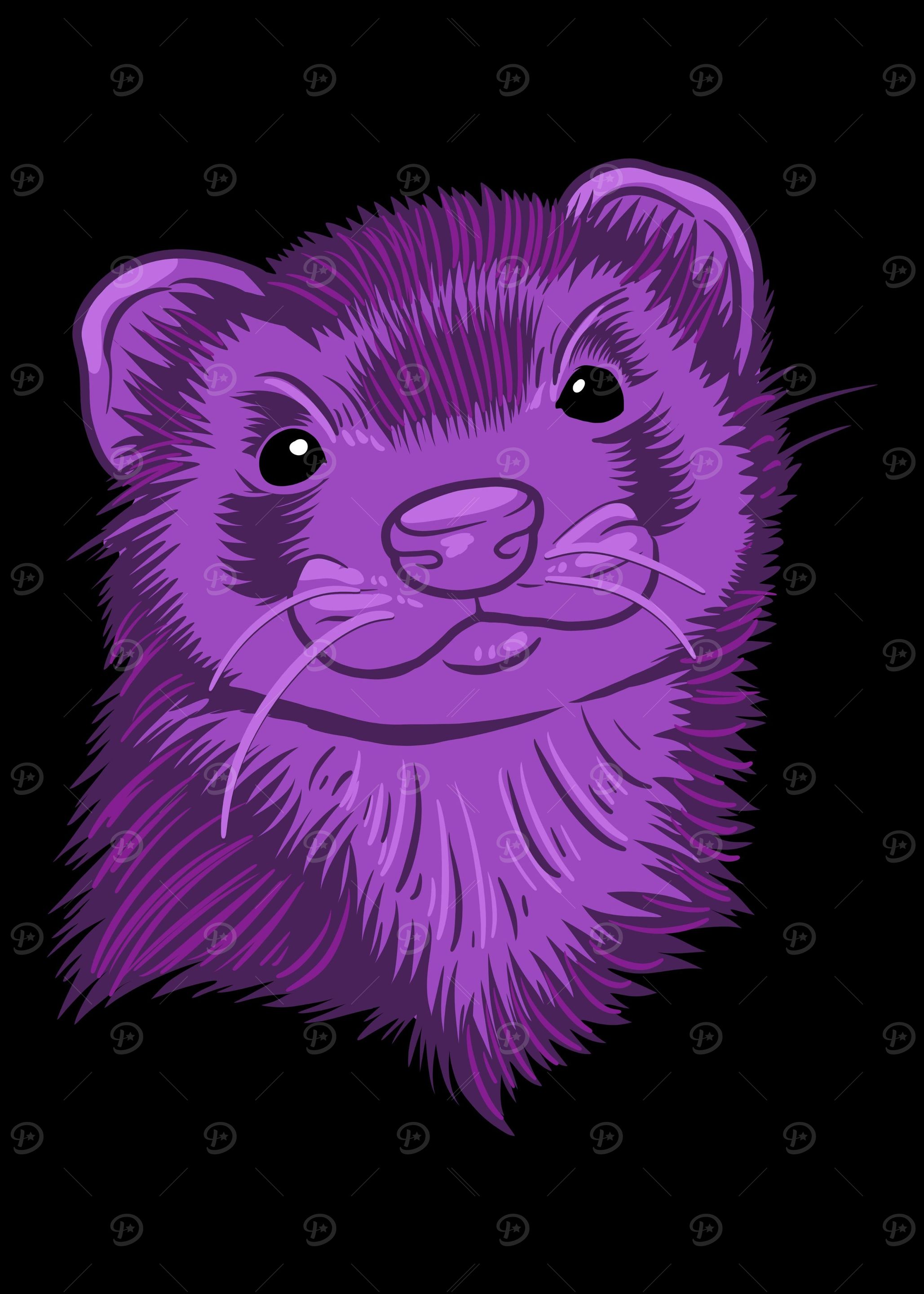 Ferret