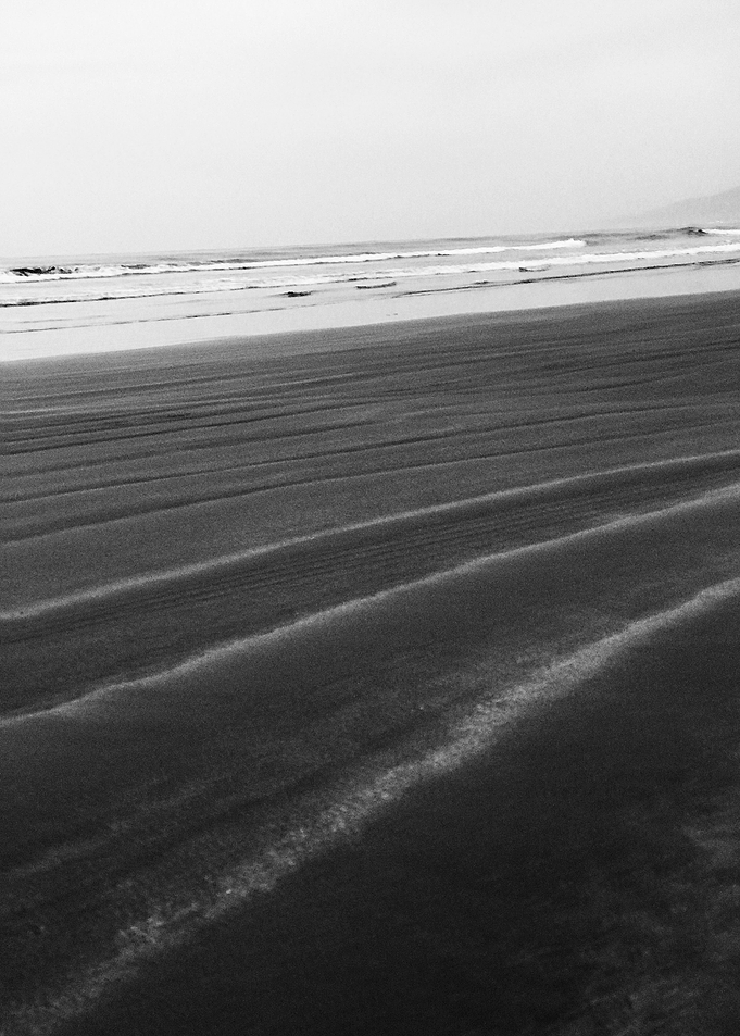 Black and White XV