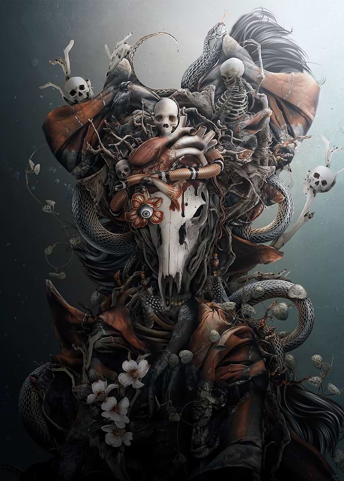 Dead Deer