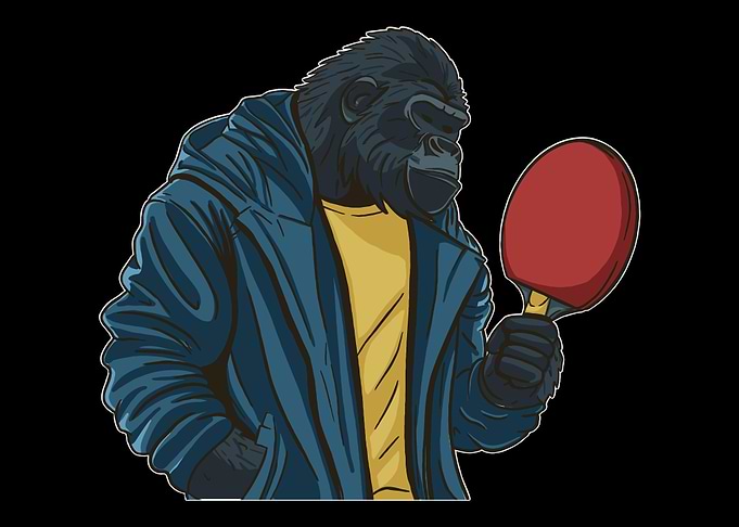 Table Tennis Ping Pong