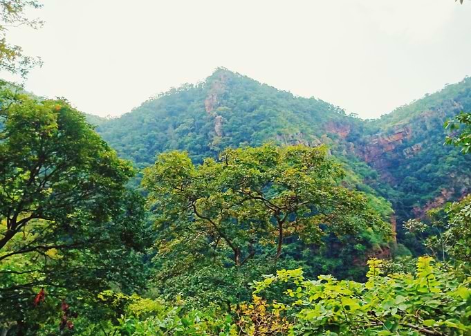 Landscape Beauty in Nature