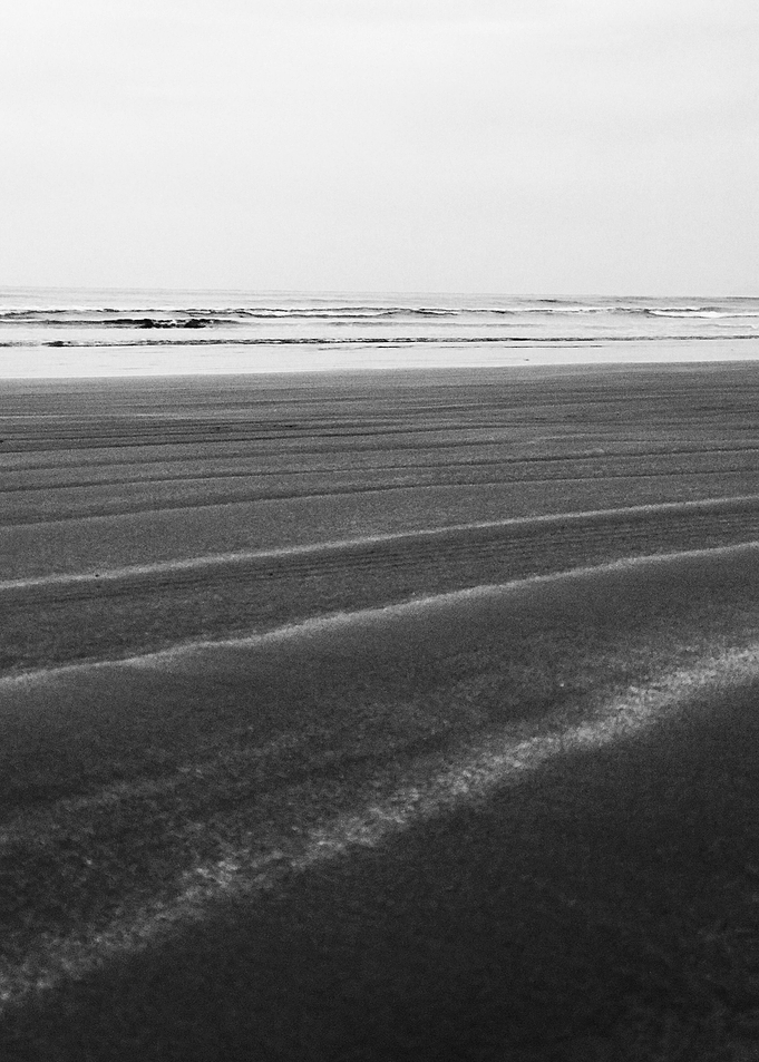 Black and White XIV
