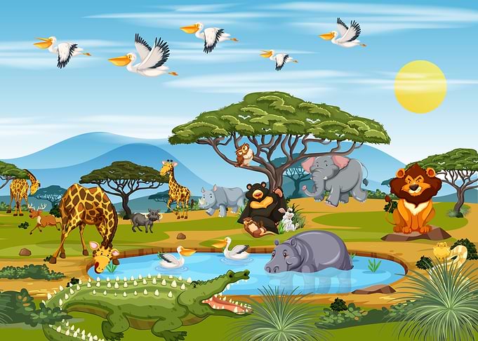 Cute Animals in the Forest
