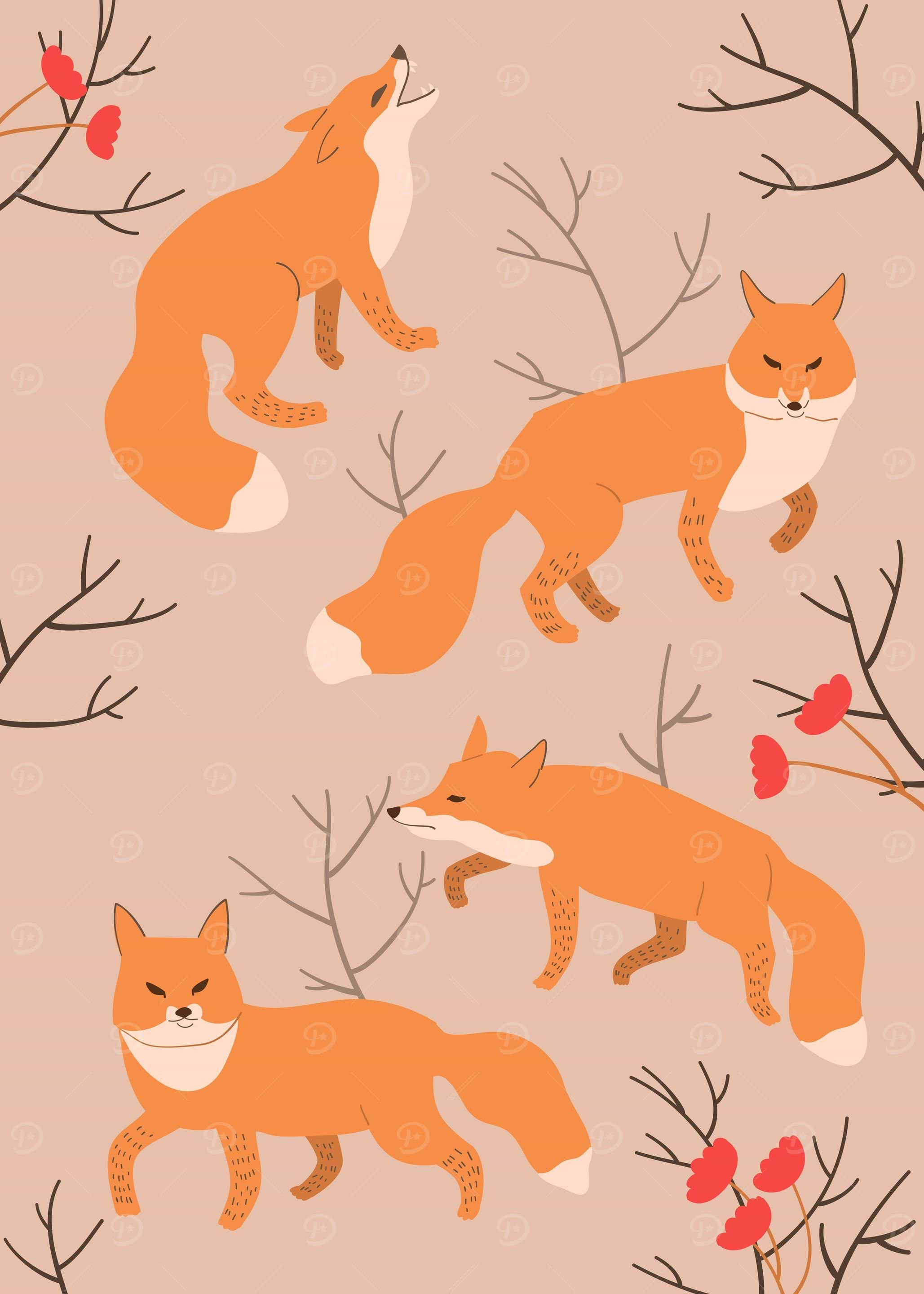 wild animal fox