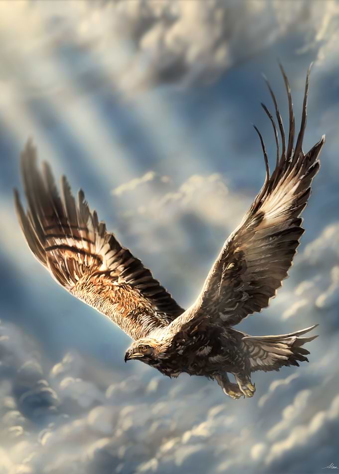 Golden Eagle