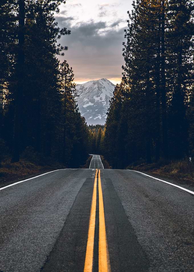 Road to Mountains Forest
