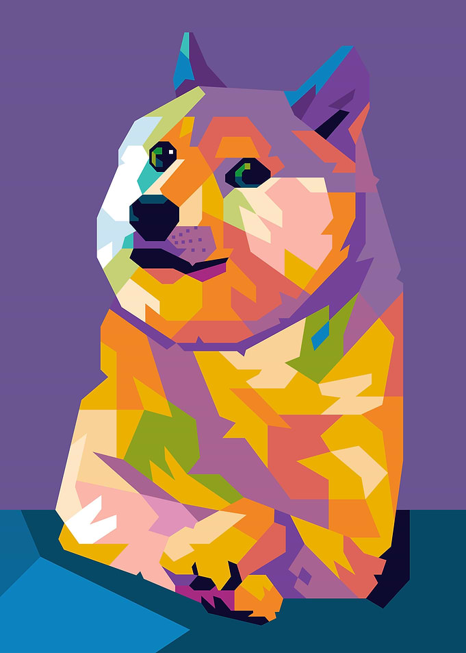 Doge Cat Meme