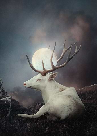 Keeper of the Moon
