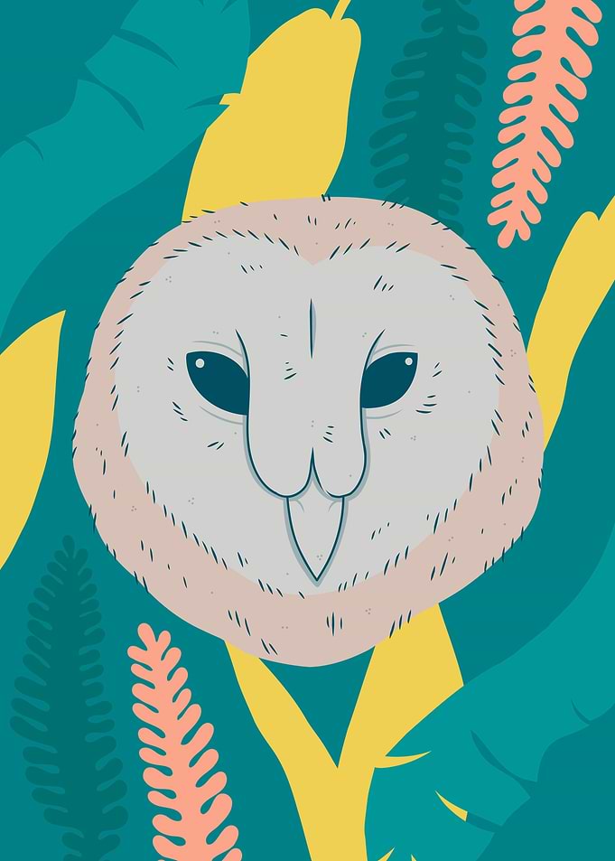 Animal japanese