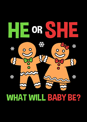 He Or She Gender Reveal