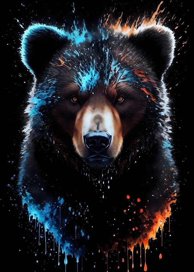 Black Bear Portrait