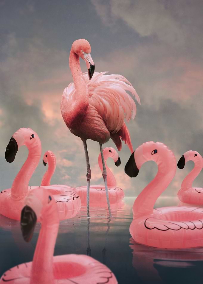 Imposters