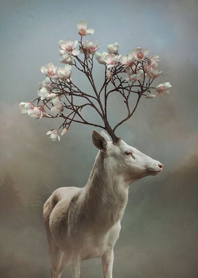 King of Spring