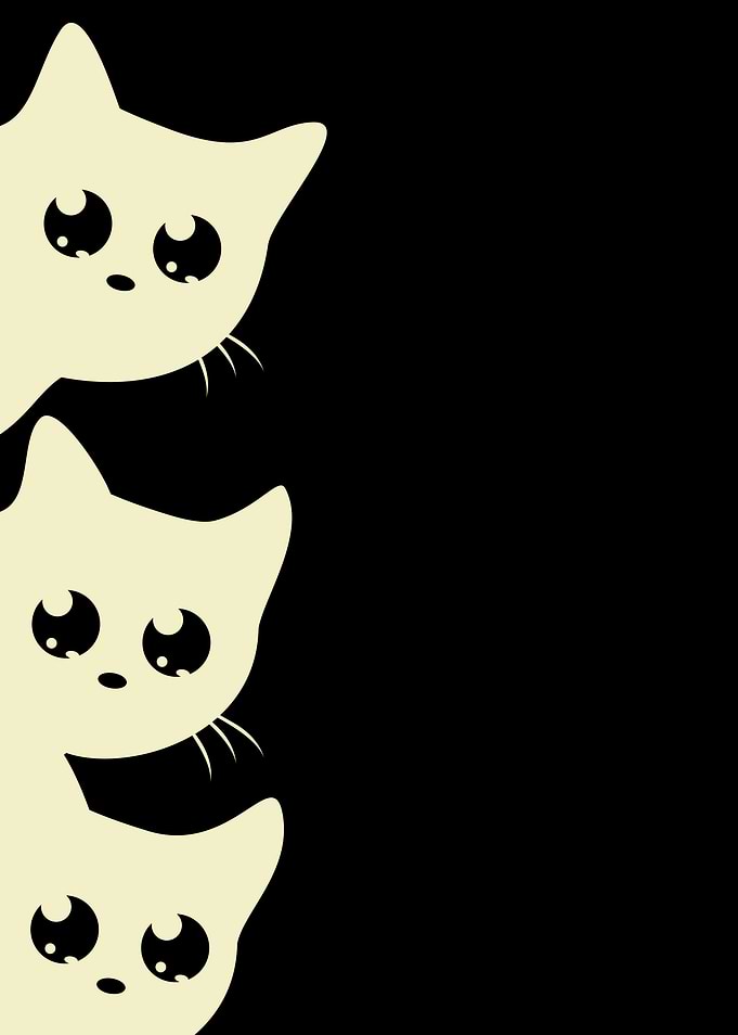 Three White Kittens