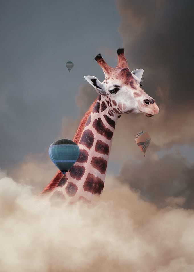 Head Above the Clouds II