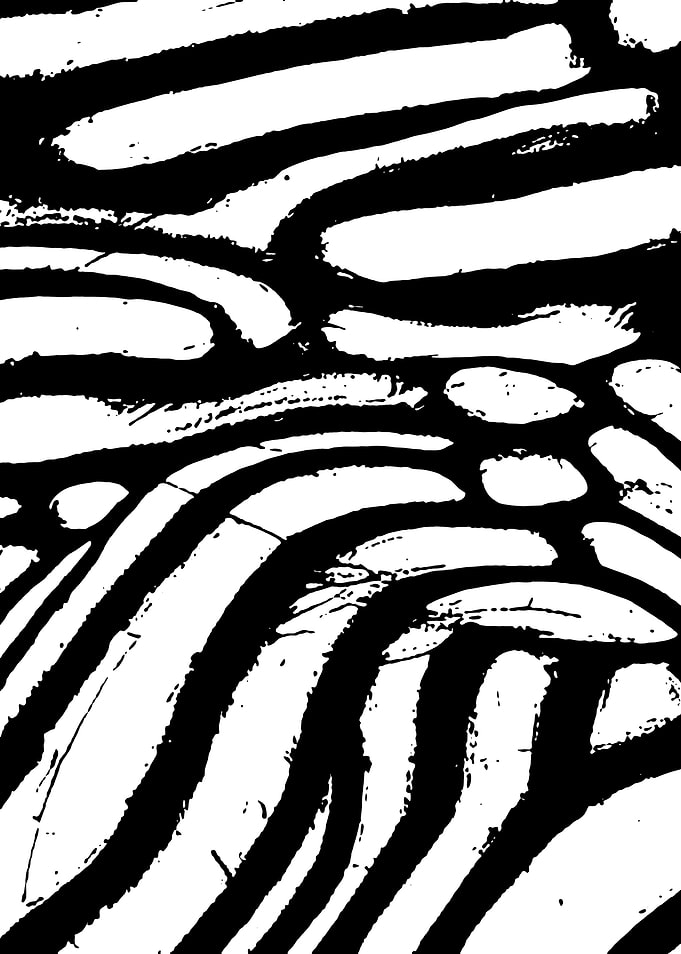 Black and White Abstract