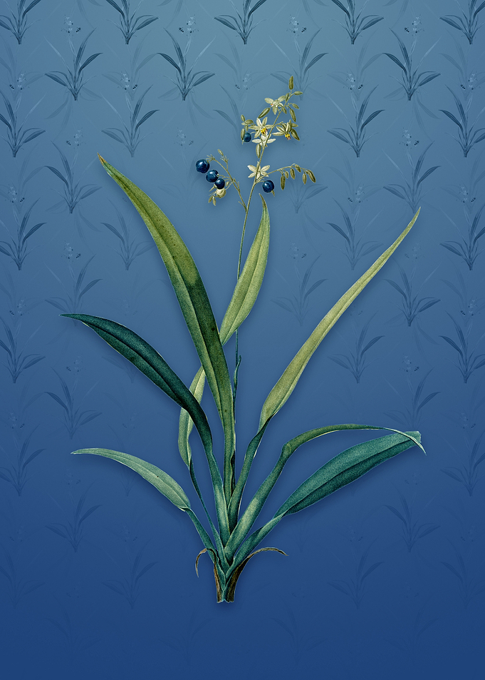 Vintage Flax Lilies