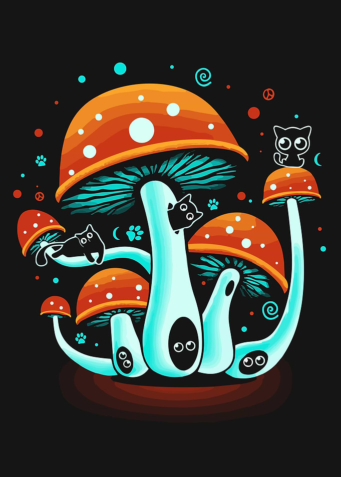 Mushroom Cat