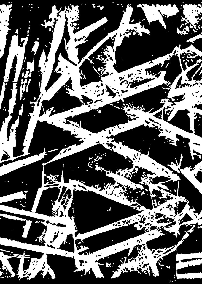 Black and White Abstract