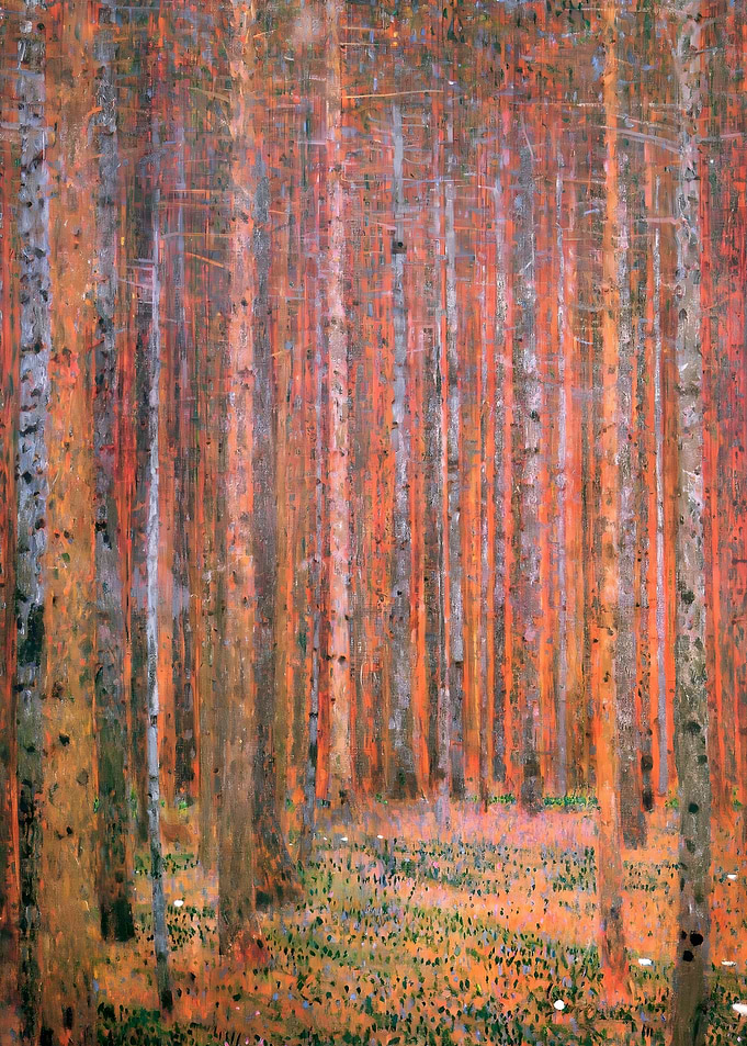 Tannenwald Pine Forest