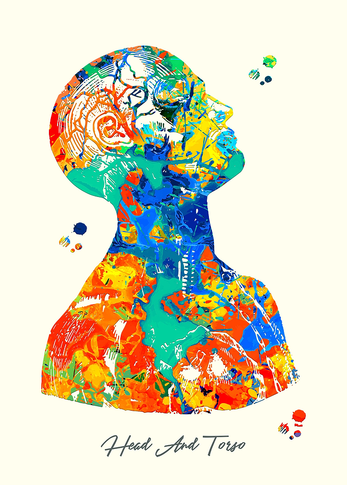 Head And Torso