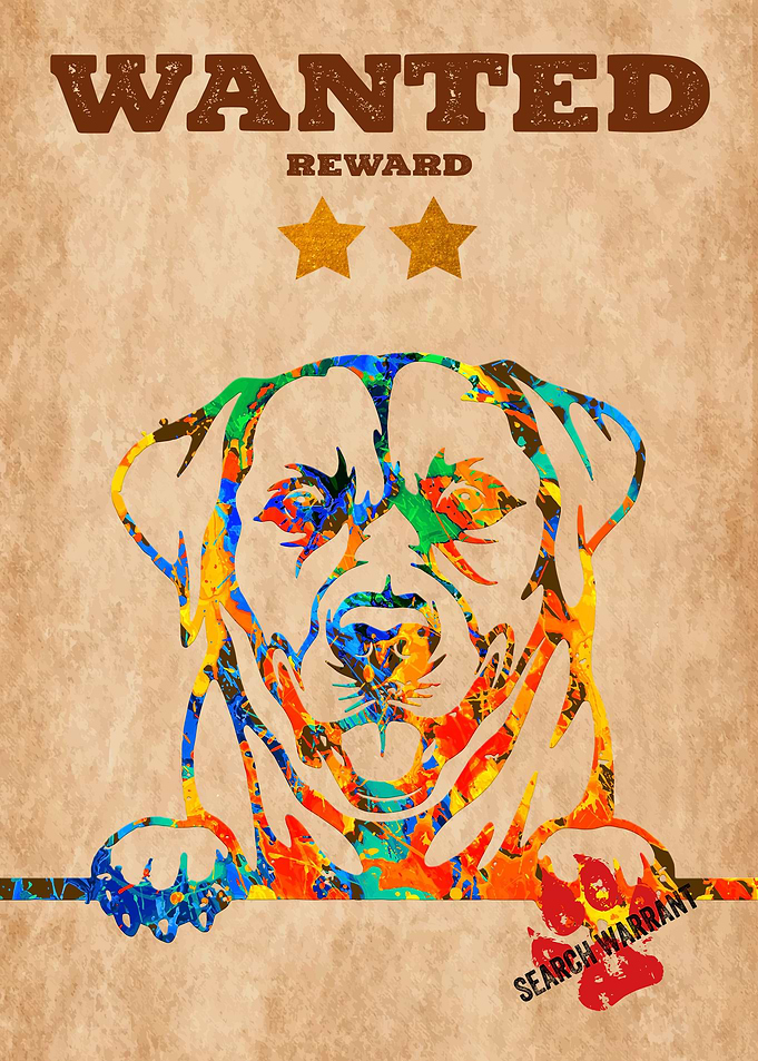 Labrador Dog Portrait